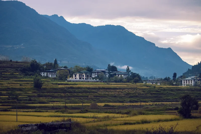 Terraced rice fields and traditional Bhutanese buildings nestled against misty mountain slopes — Photography Odyssey tour