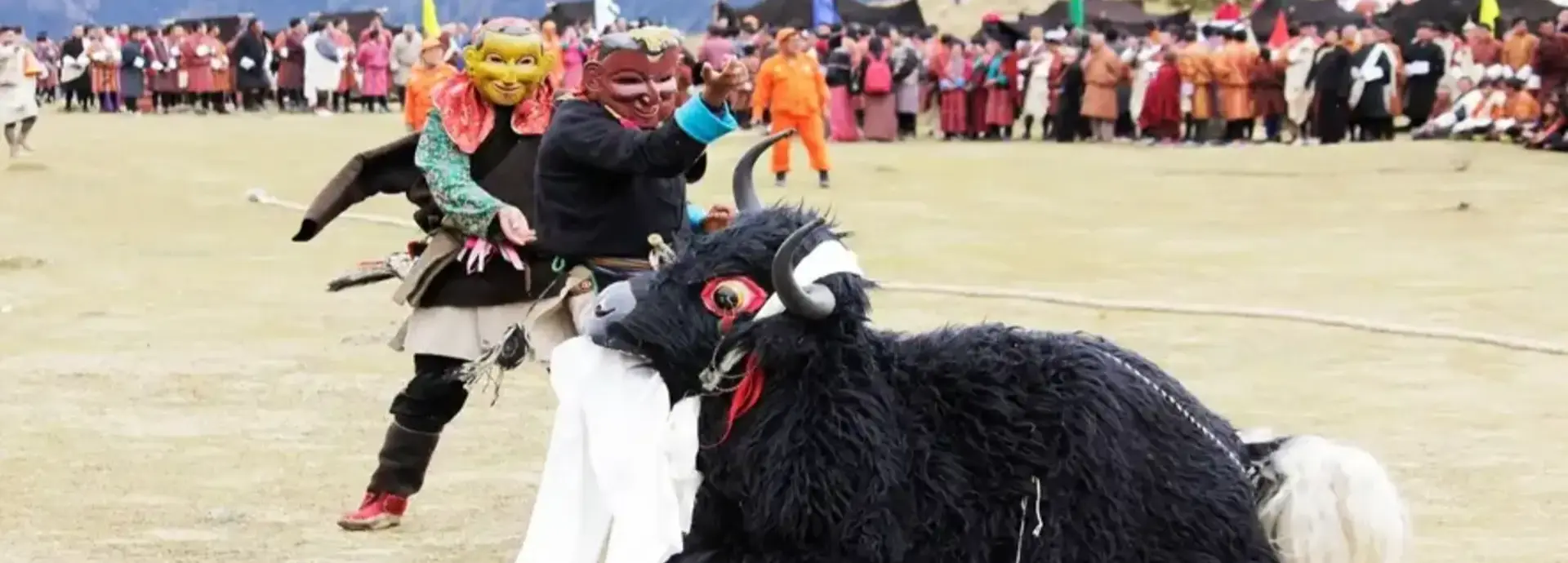 Yak Dance Performance at the Royal Highland Festival