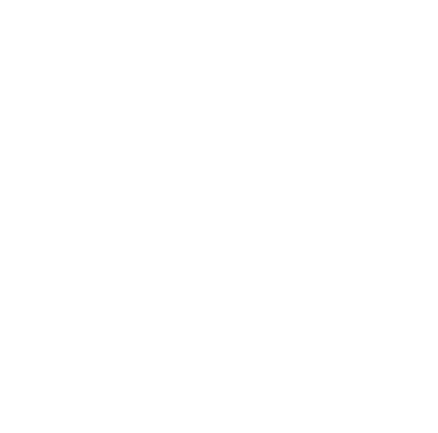 picture of a paper with the word VISA written on it