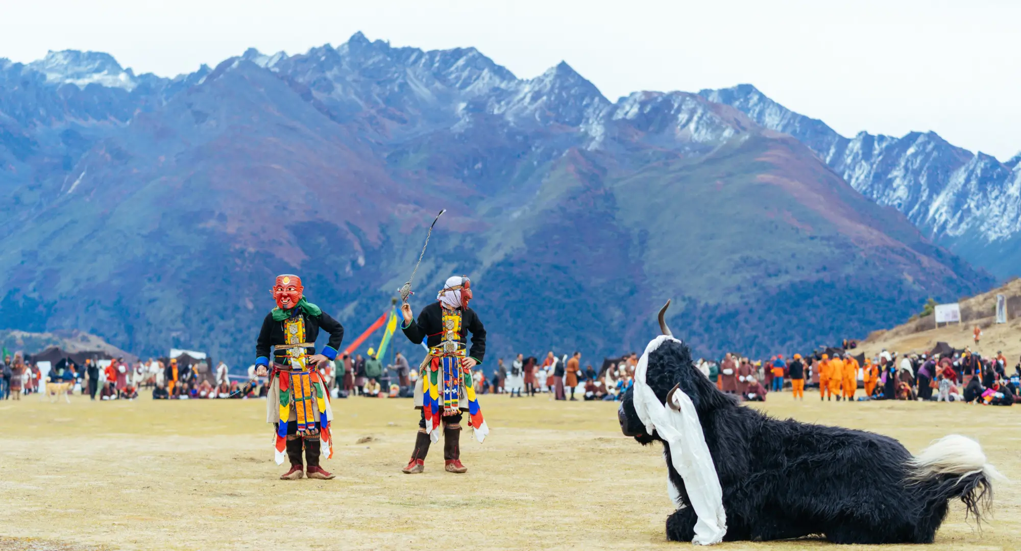 Picture of a Yak Dance Performace at the Royal Highland Festival