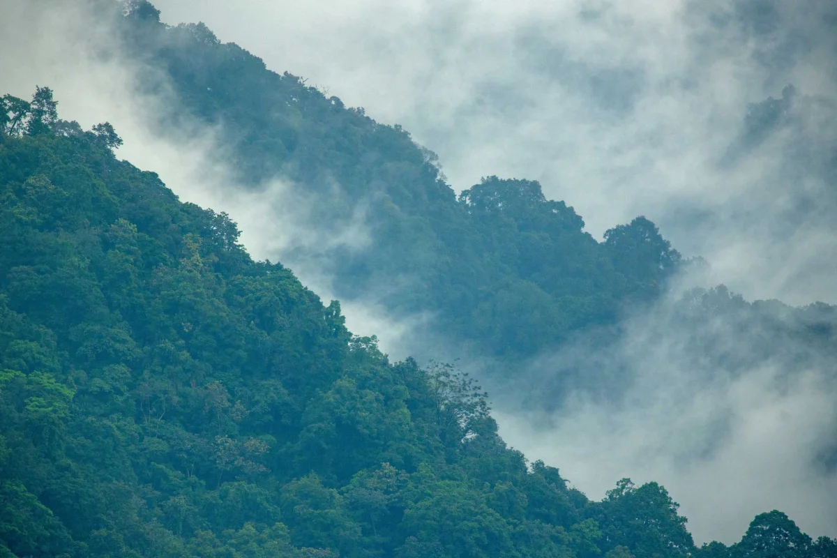 Why Is Bhutan Called Bhutan? The History Behind Bhutan's Name and Other Historic Names  - MANAS HIMALAYAN FOOTHILLS STORIES large